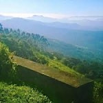 Tea Estates Walking Tour In Munnar (1D)